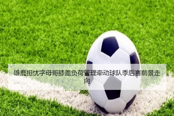 雄鹿担忧字母哥膝盖负荷管理牵动球队季后赛前景走向